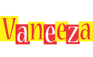 Vaneeza errors logo