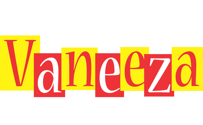 Vaneeza errors logo