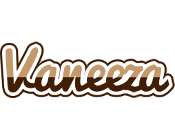 Vaneeza exclusive logo