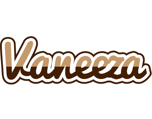 Vaneeza exclusive logo