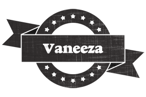 Vaneeza grunge logo
