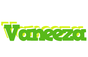 Vaneeza picnic logo