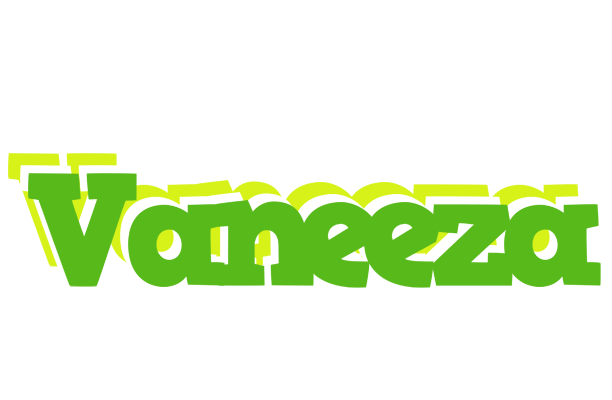 Vaneeza picnic logo