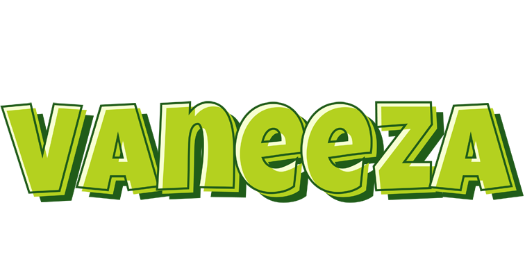 Vaneeza summer logo