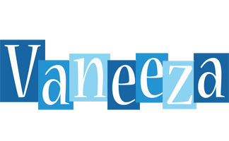Vaneeza winter logo