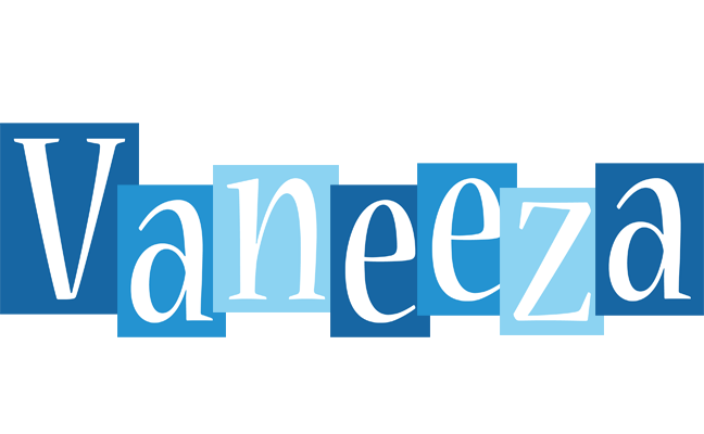Vaneeza winter logo