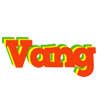 Vang bbq logo