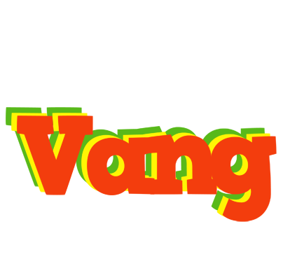 Vang bbq logo