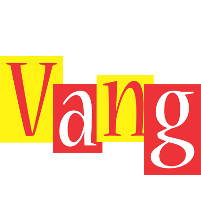 Vang errors logo