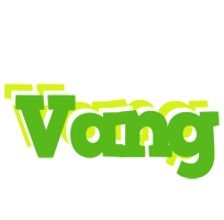 Vang picnic logo