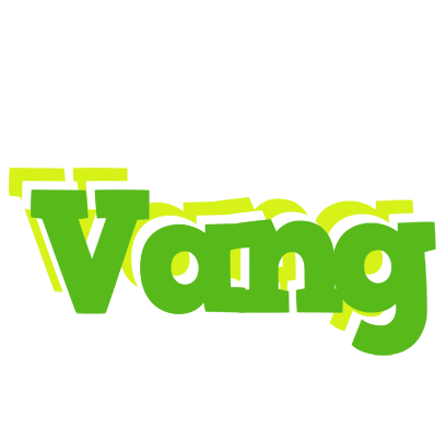 Vang picnic logo