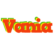 Vania bbq logo