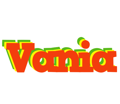 Vania bbq logo