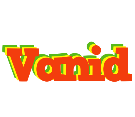 Vanid bbq logo