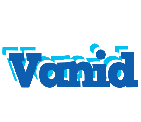 Vanid business logo