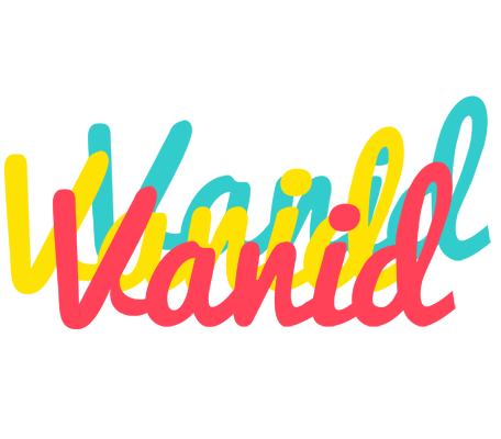 Vanid disco logo