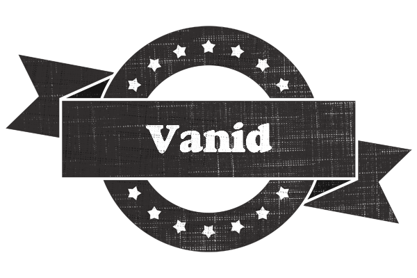 Vanid grunge logo
