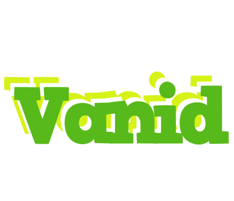 Vanid picnic logo