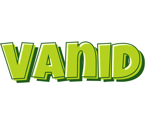 Vanid summer logo