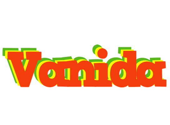 Vanida bbq logo