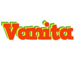 Vanita bbq logo