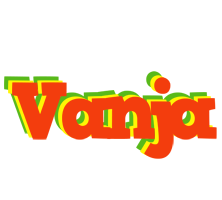 Vanja bbq logo