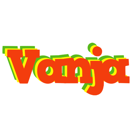 Vanja bbq logo
