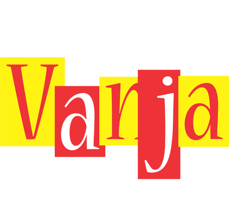 Vanja errors logo