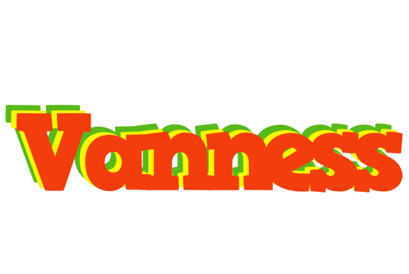 Vanness bbq logo