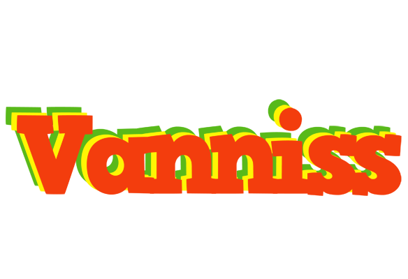 Vanniss bbq logo