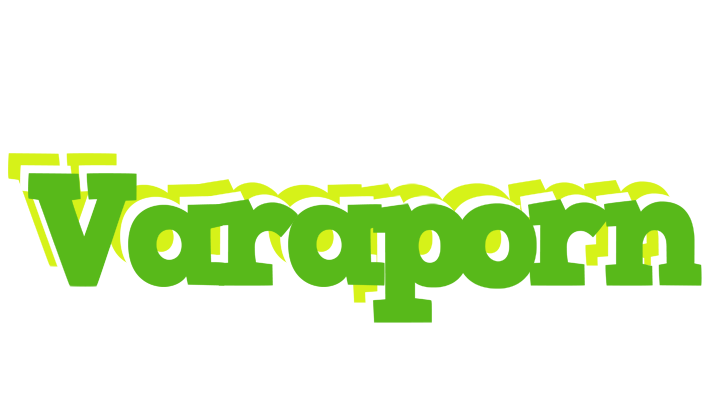 Varaporn picnic logo