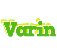 Varin picnic logo