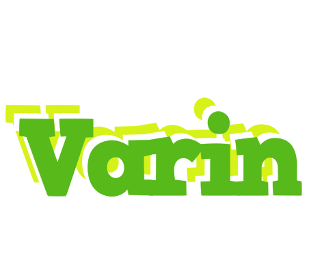 Varin picnic logo