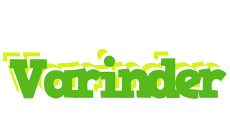 Varinder picnic logo