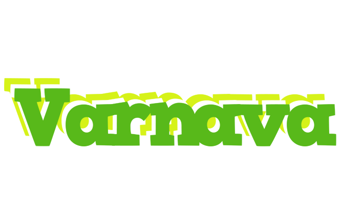 Varnava picnic logo