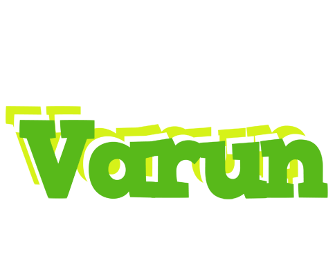 Varun picnic logo