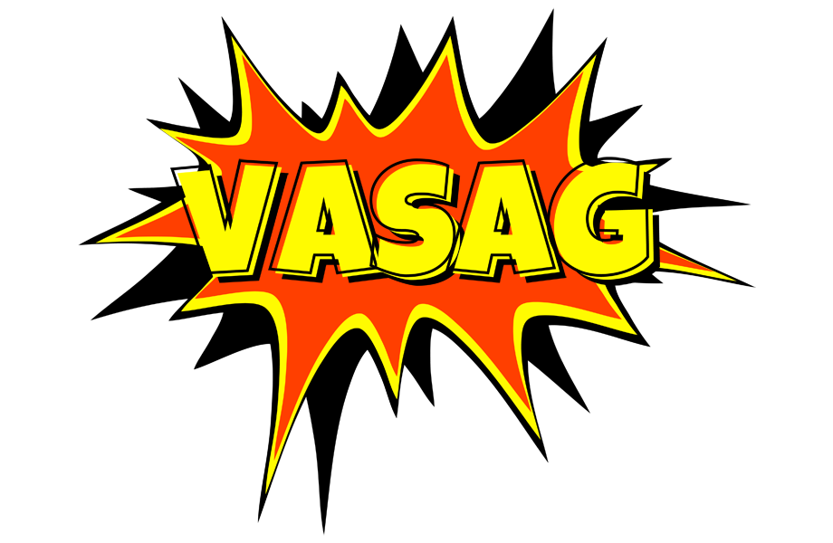 Vasag bazinga logo