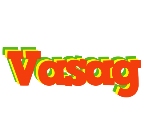 Vasag bbq logo