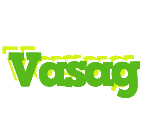 Vasag picnic logo