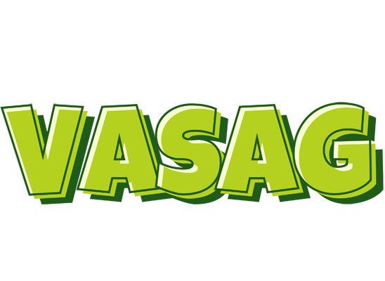Vasag summer logo