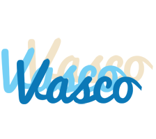 Vasco breeze logo