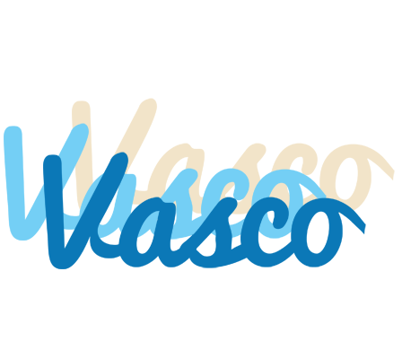 Vasco breeze logo