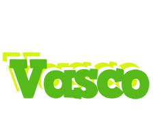 Vasco picnic logo