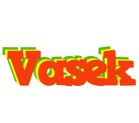 Vasek bbq logo