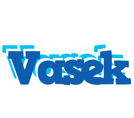 Vasek business logo