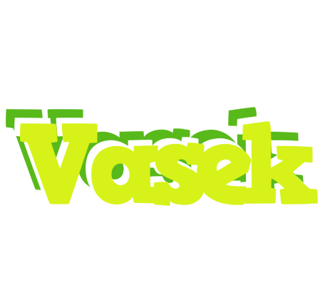 Vasek citrus logo