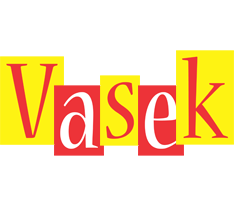 Vasek errors logo