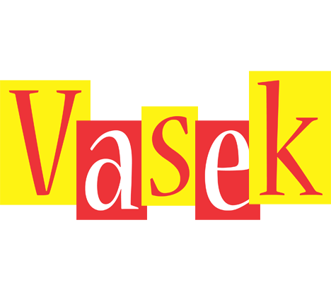 Vasek errors logo