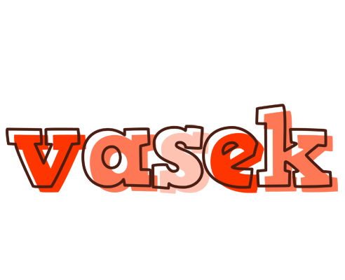 Vasek paint logo