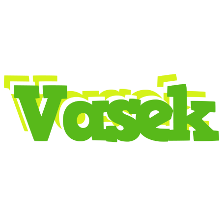 Vasek picnic logo